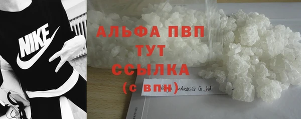 сатива Нязепетровск