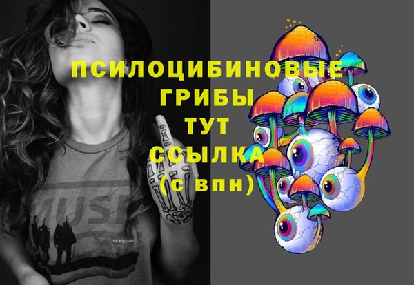 сатива Нязепетровск