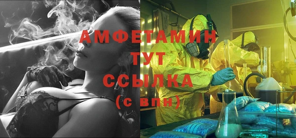сатива Нязепетровск