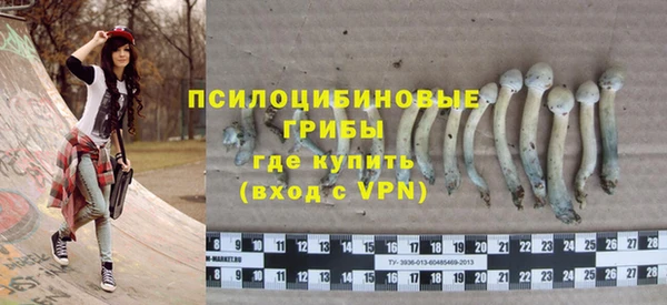 стафф Няндома