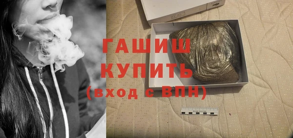 амф Новозыбков