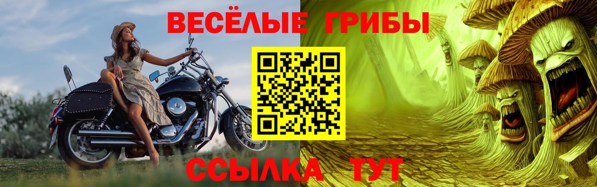 Галлюциногенные грибы MAGIC MUSHROOMS Партизанск