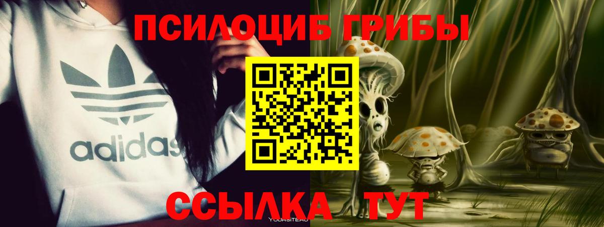 Псилоцибиновые грибы Psilocybine cubensis  дарнет шоп  Партизанск 